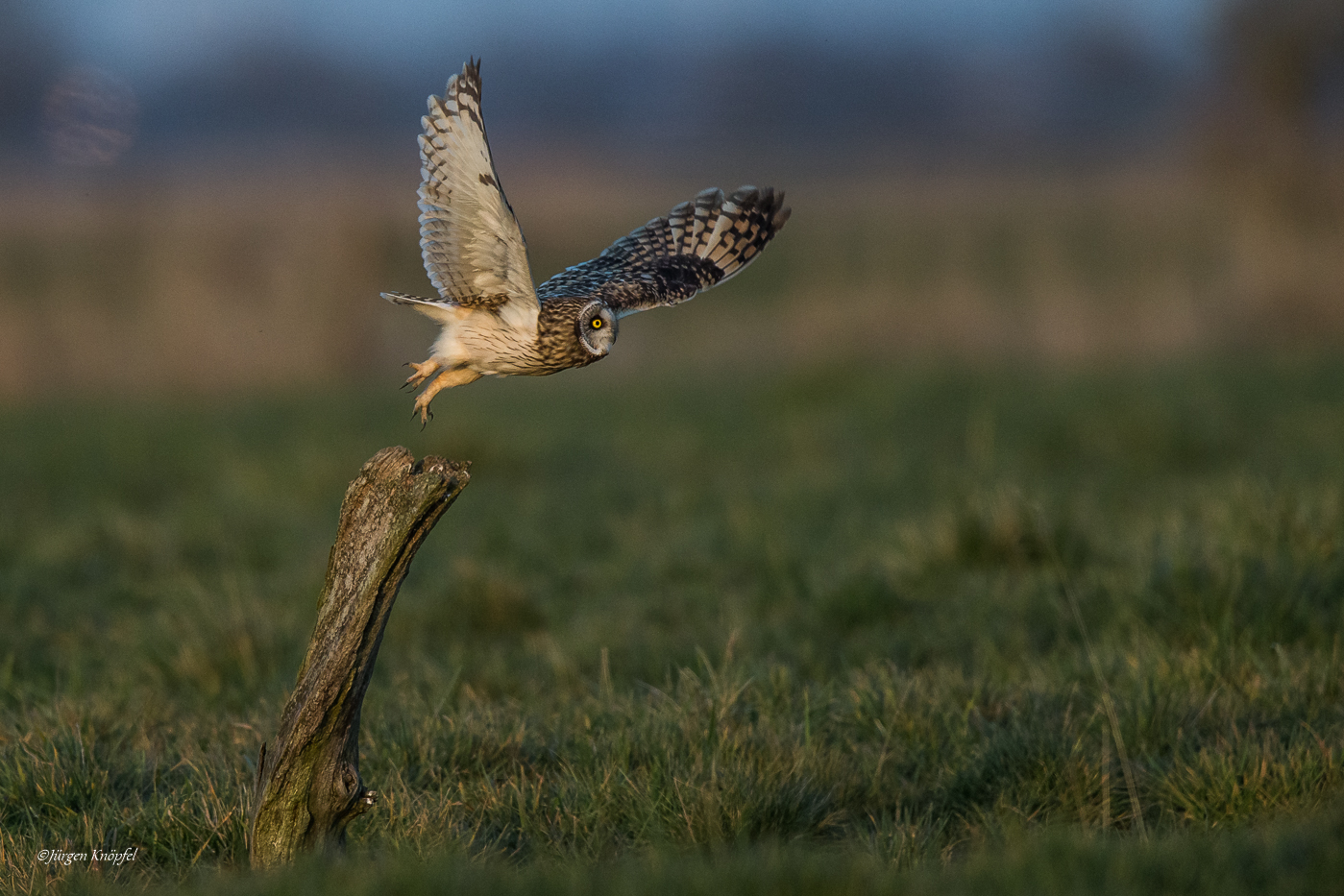 Aufbruch zur Jagd