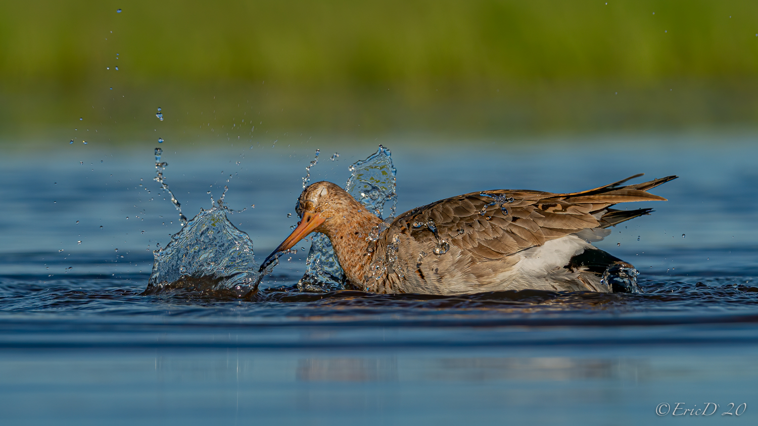 Wasserspiele