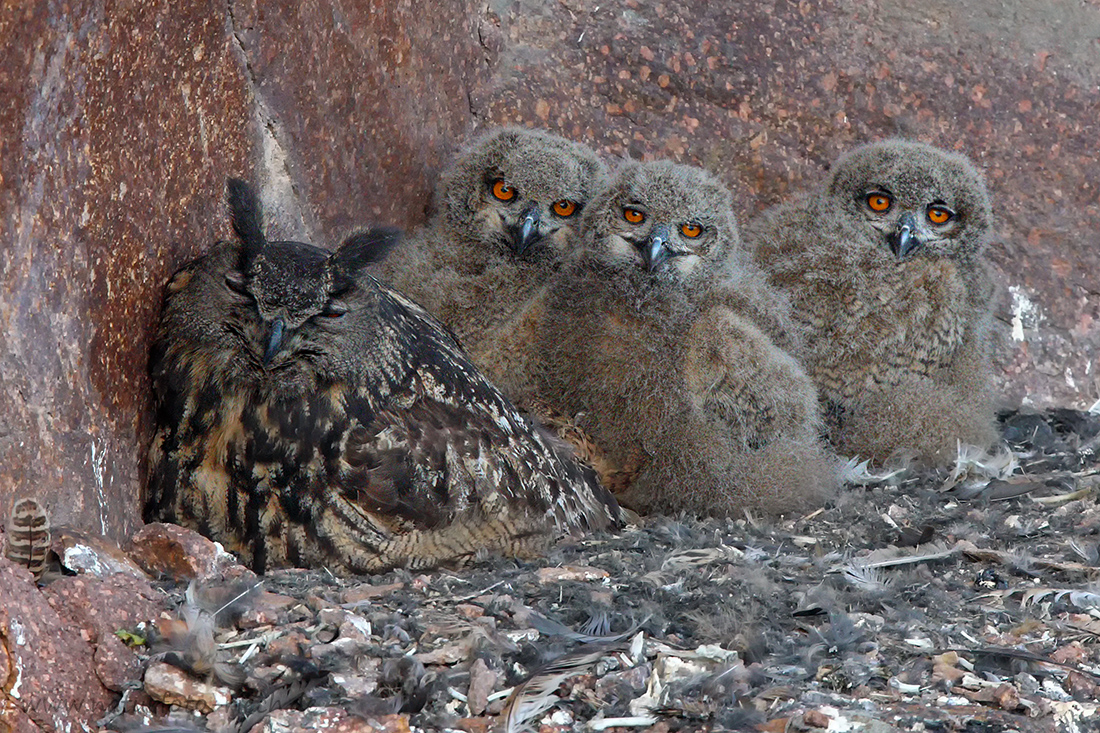 Familienbild