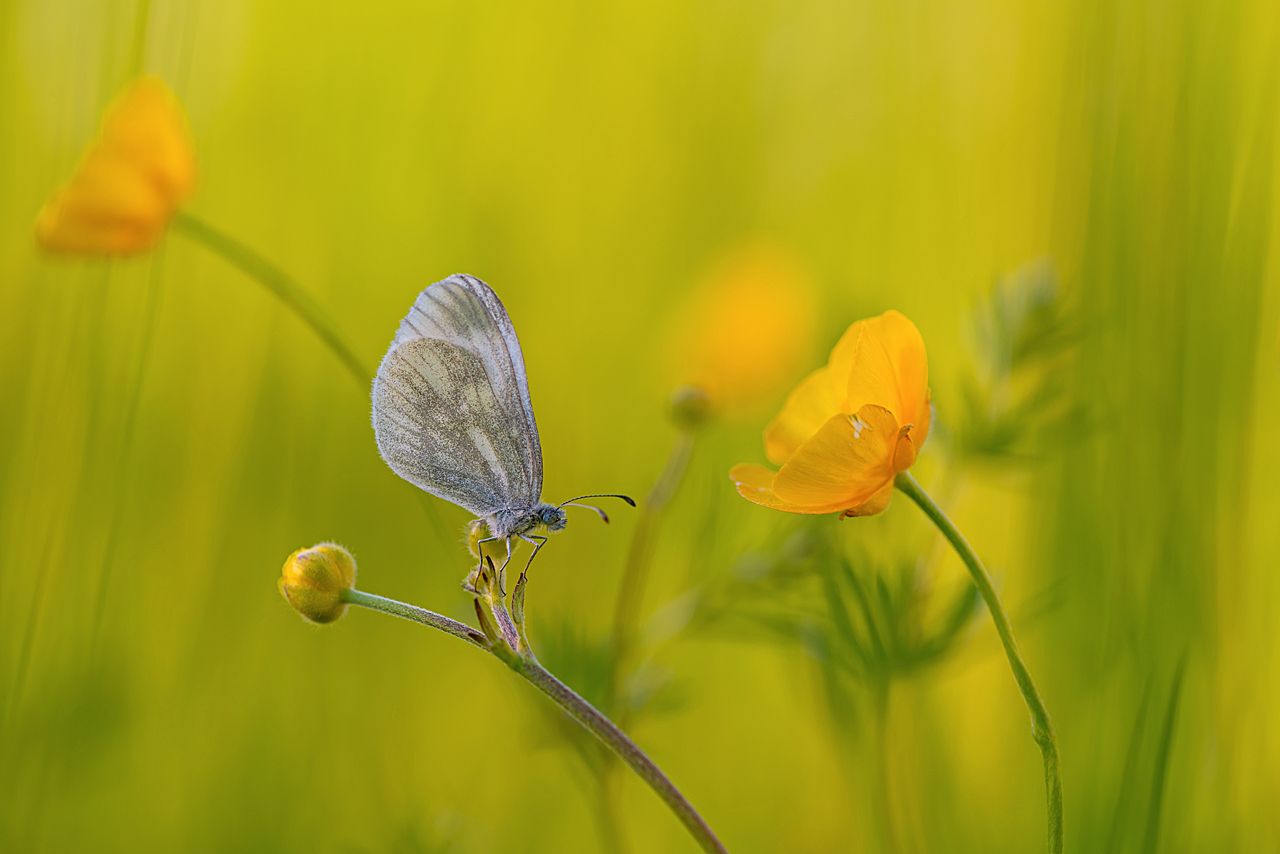 Lust auf Frühling