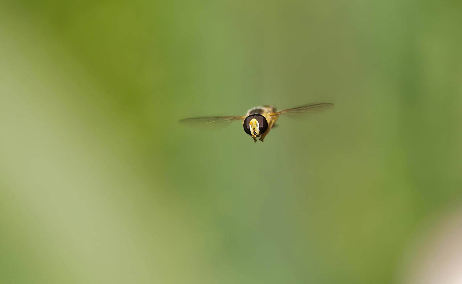 Ein Flieger