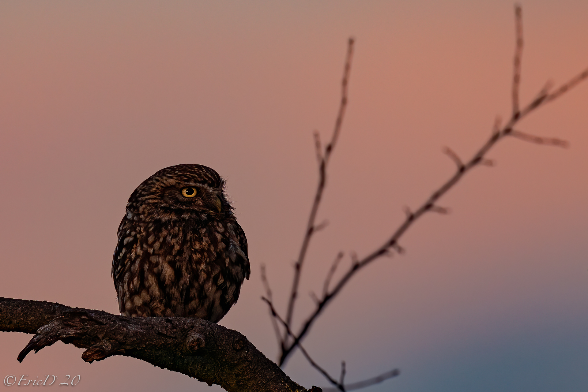 Sonnenuntergang