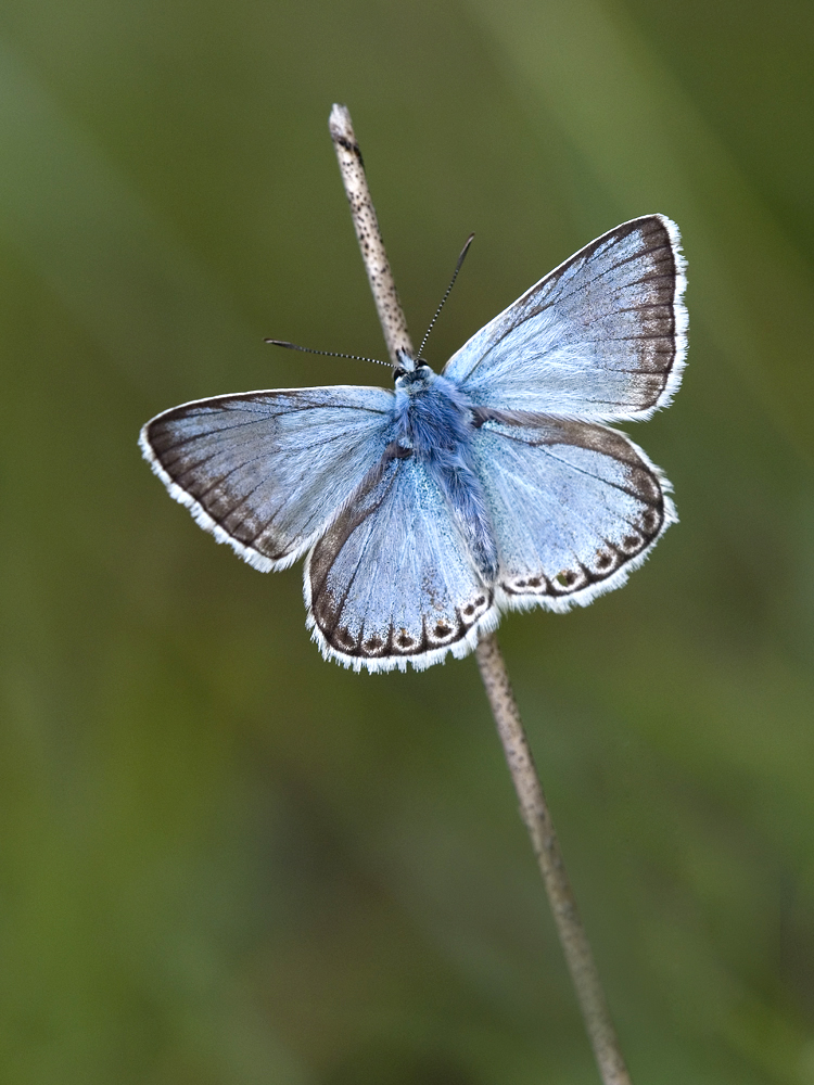 Farbe in den tristen Tag..