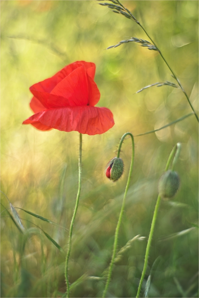 als der Wind sich gelegt hatte