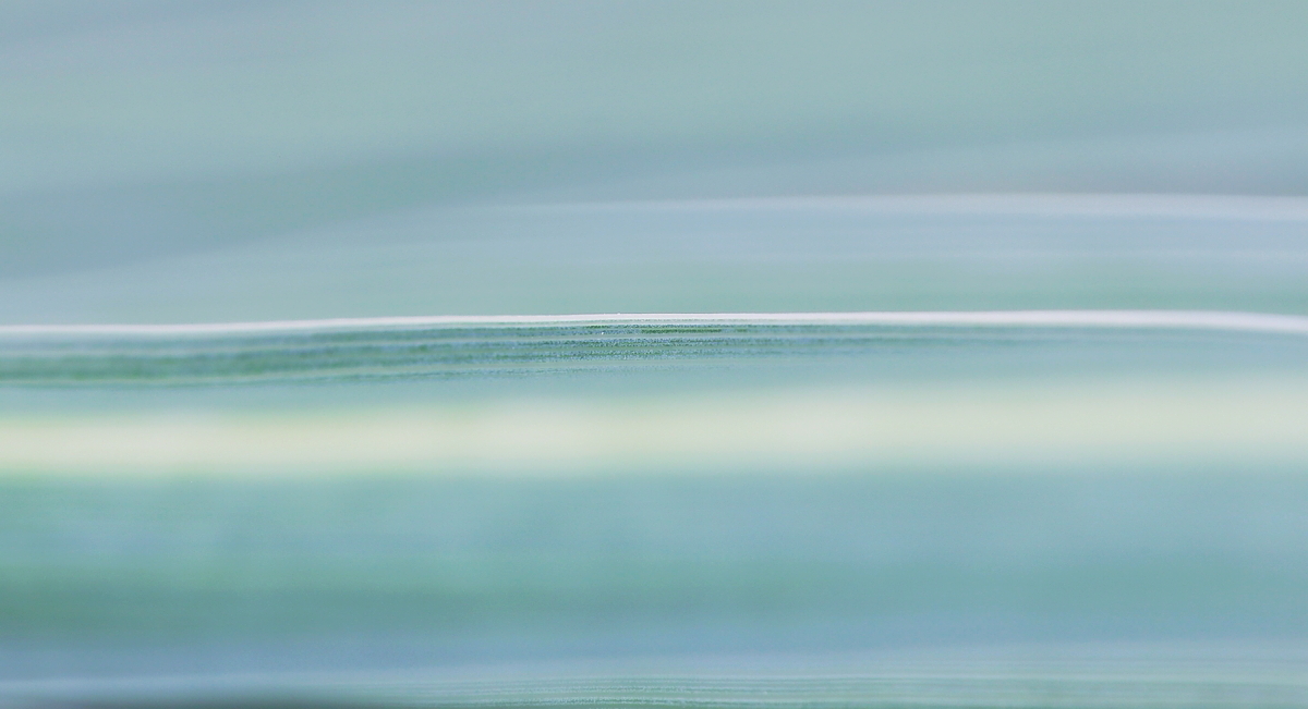 Horizonte