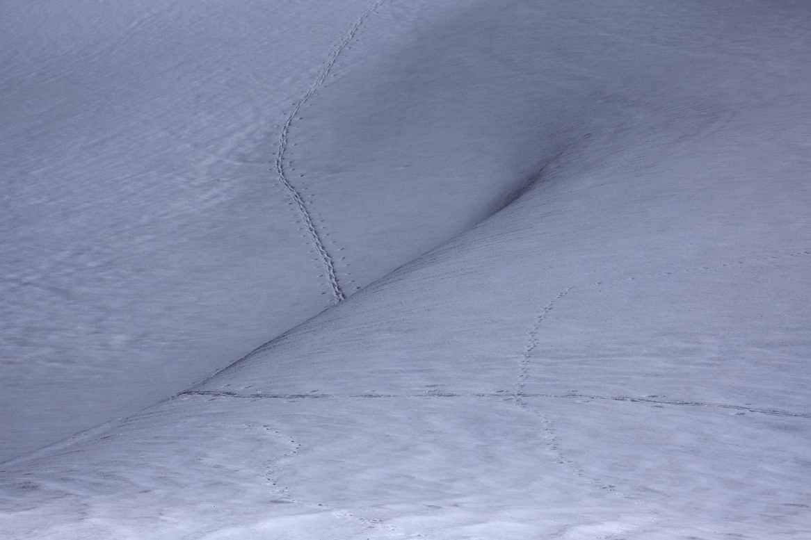 Spuren (Forum für Naturfotografen)