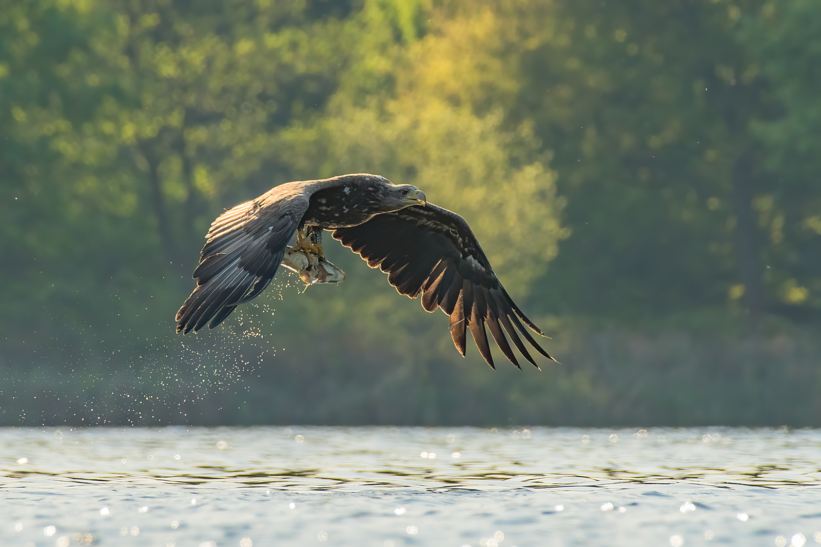 Erfolgreiche Jagd zum Schluss