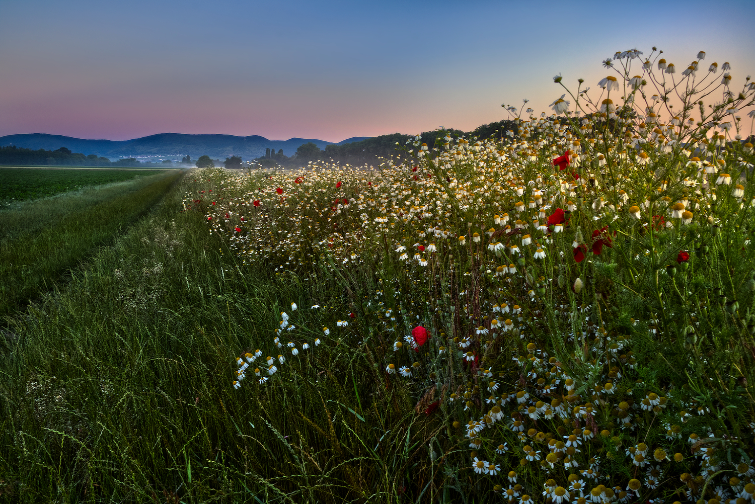 Den Sonnenaufgang im Rücken…