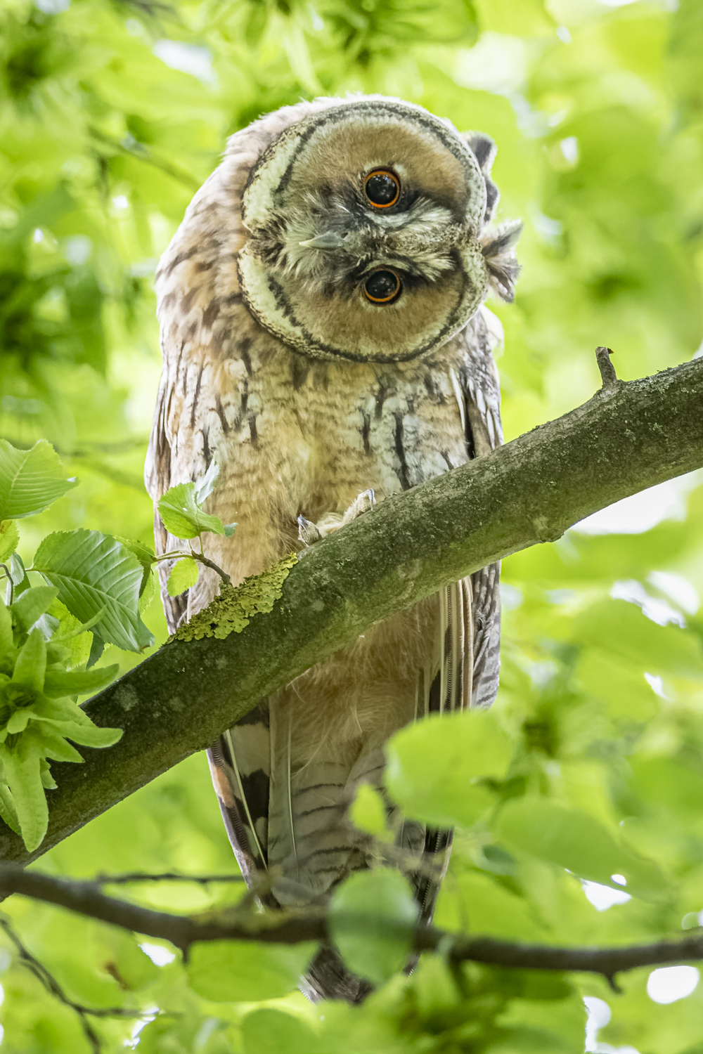 Aus allen Winkeln