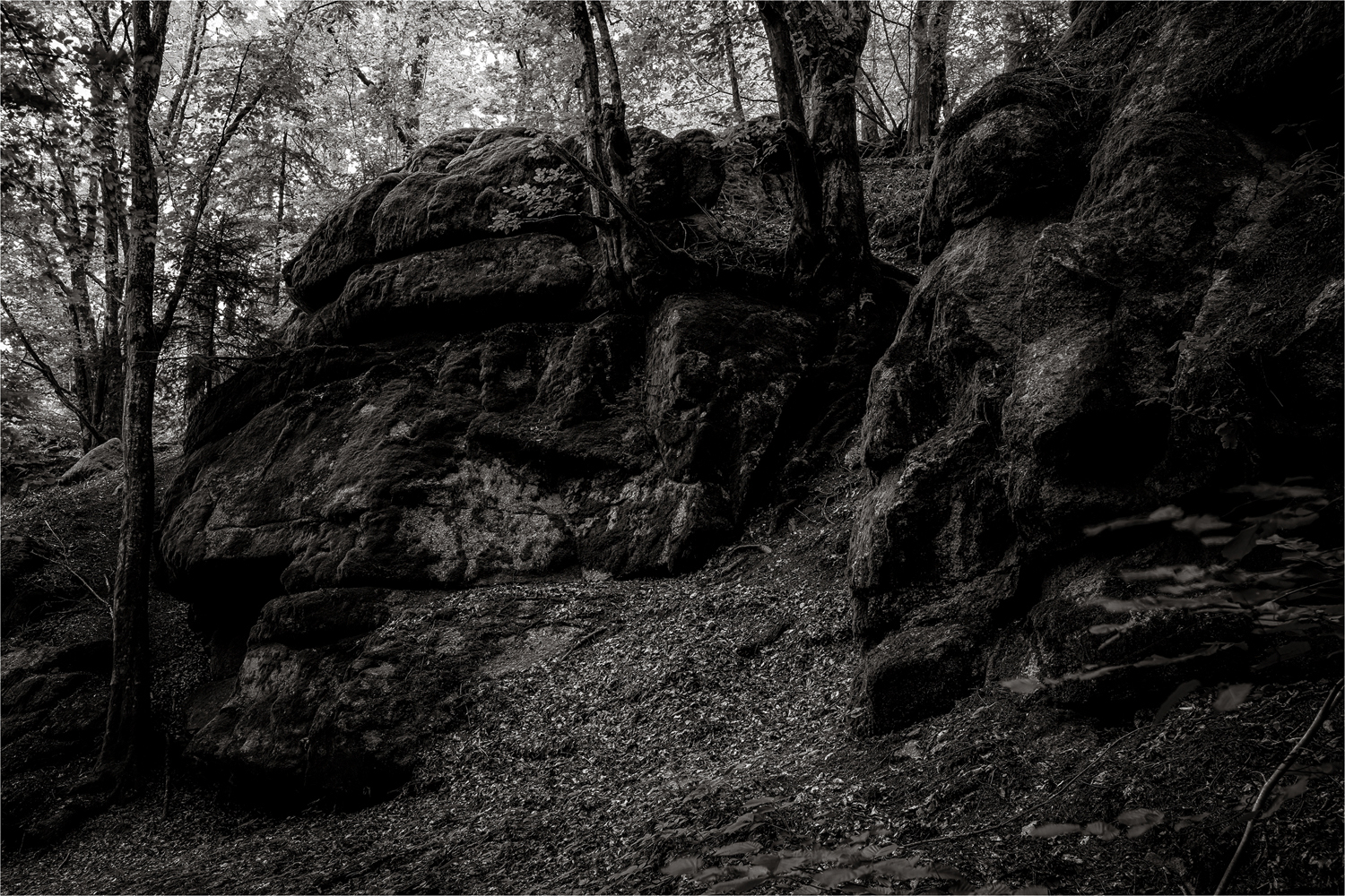 Am Eingang zum Otterbachtal