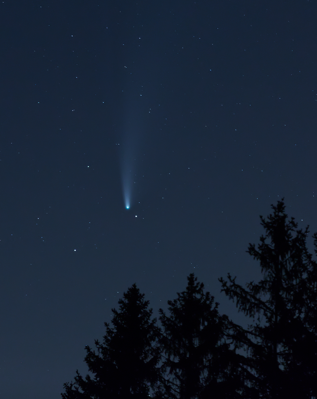 Neowise