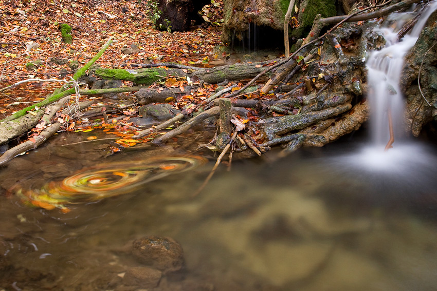 Herbstlaub im Kehrwasser