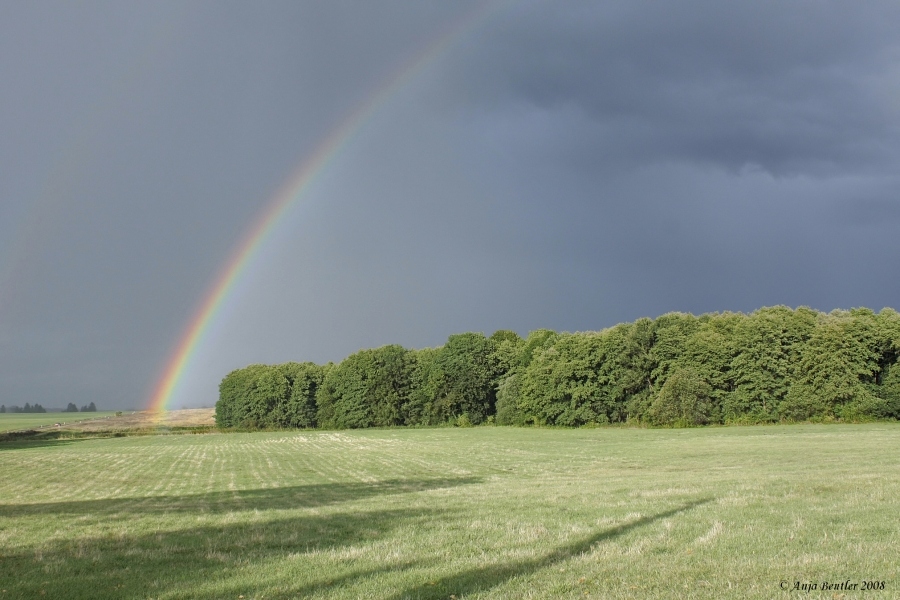 Nach dem Regen….