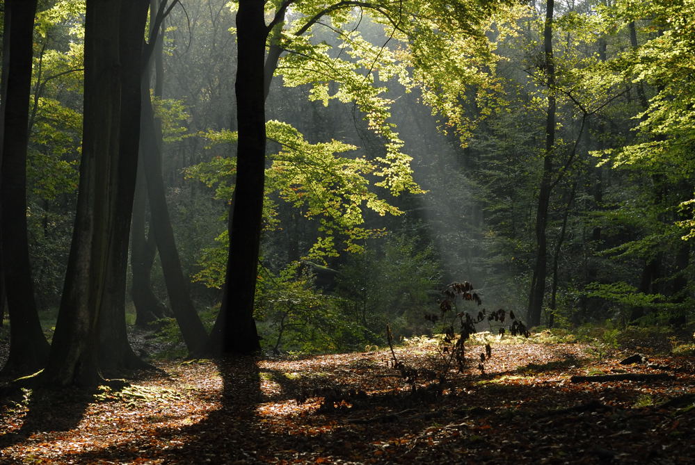 Letzte Sonnenstrahlen...