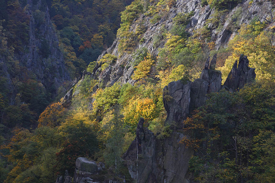 Urlandschaft im Licht
