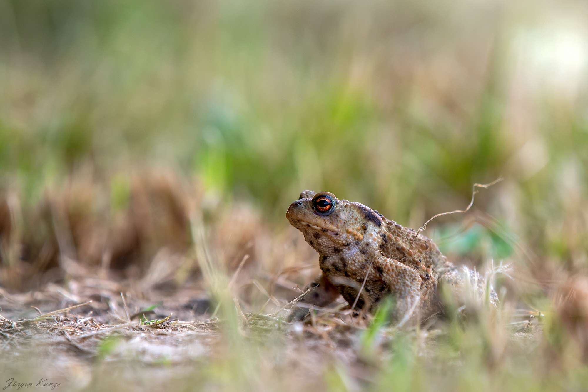 Auf Wanderung