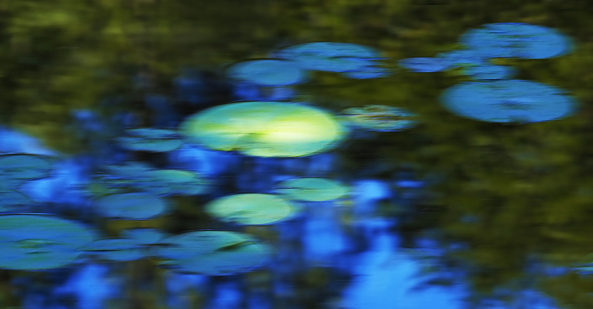 Lichtspot im Wald