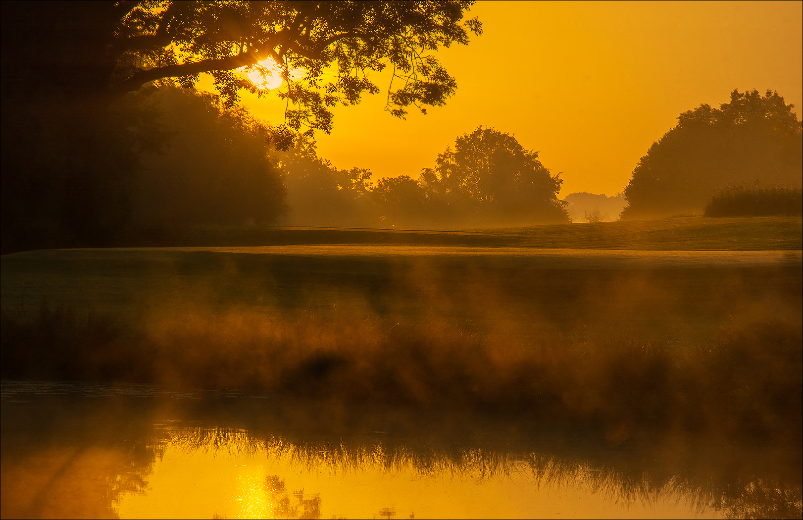 °°° Golden II °°°