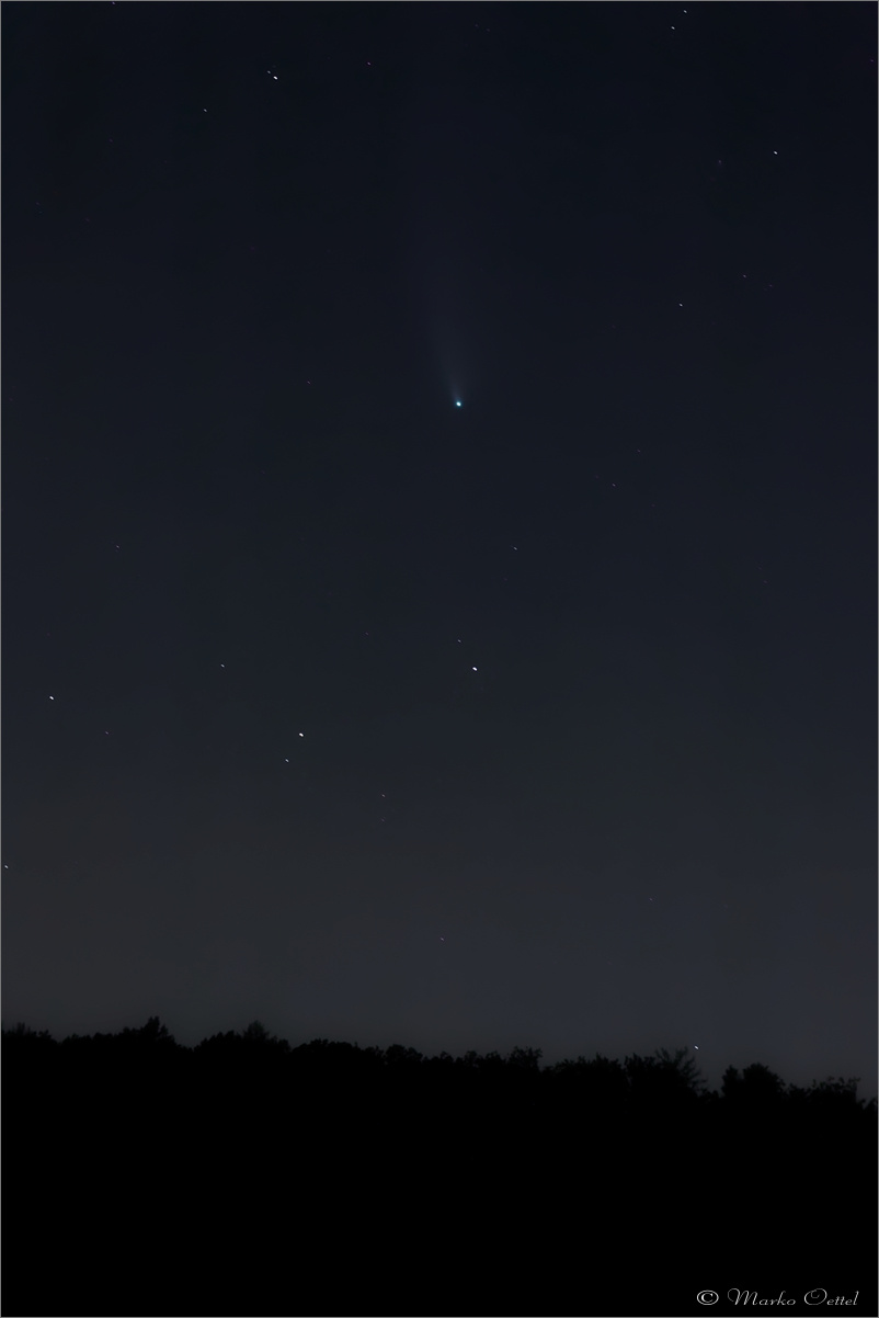 Neowise