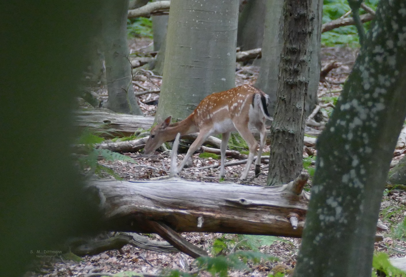 Der heimliche Blick