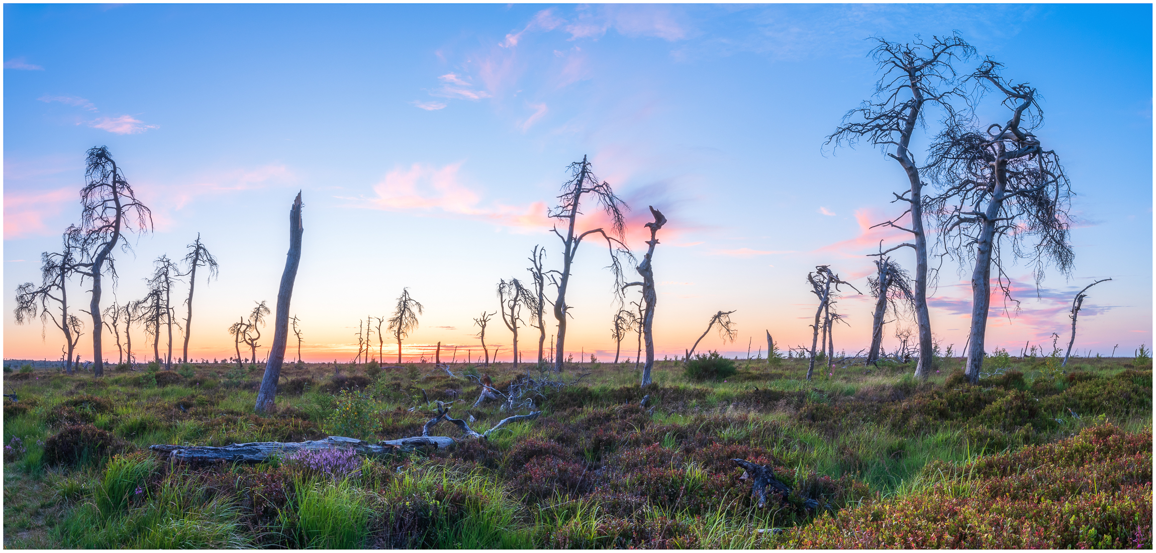 Sonnenuntergang im Geisterwald