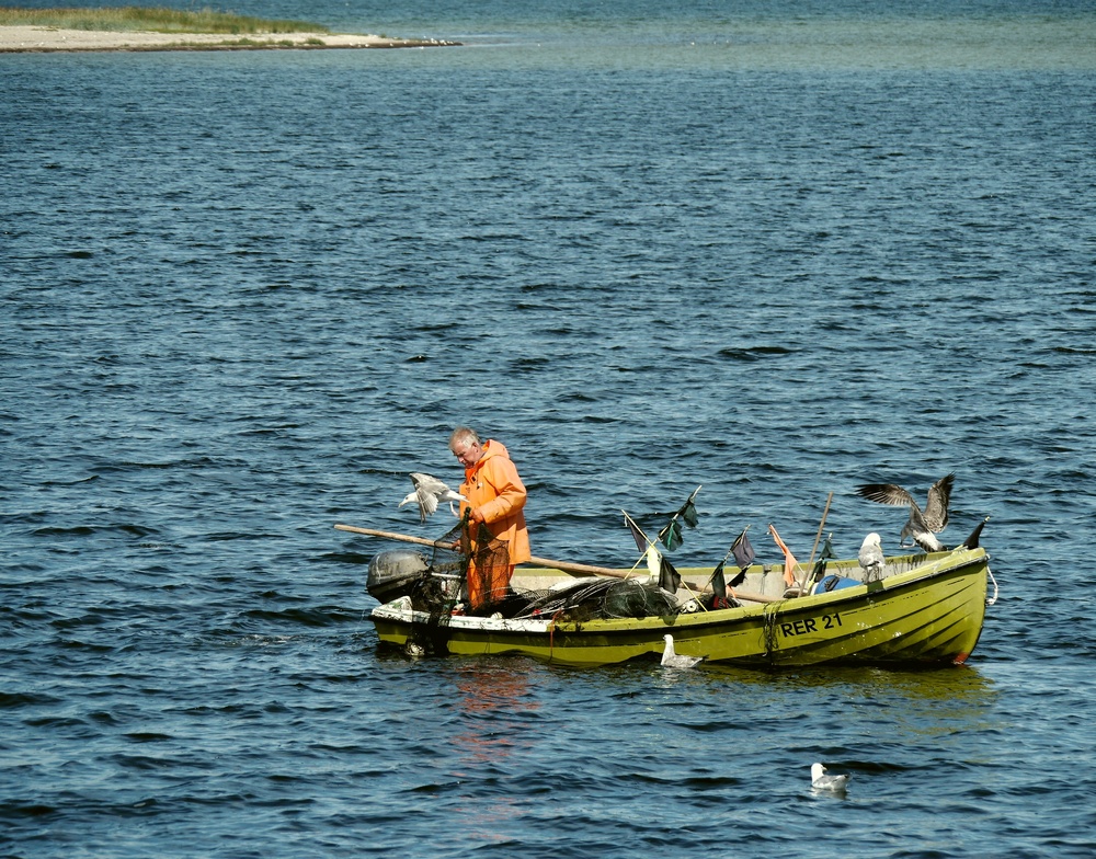 Fischers Fritze