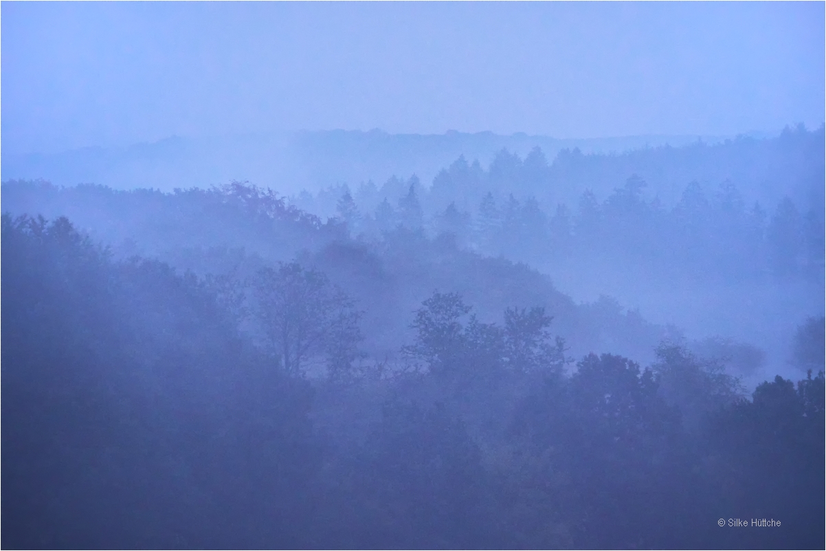 Shades of Blue