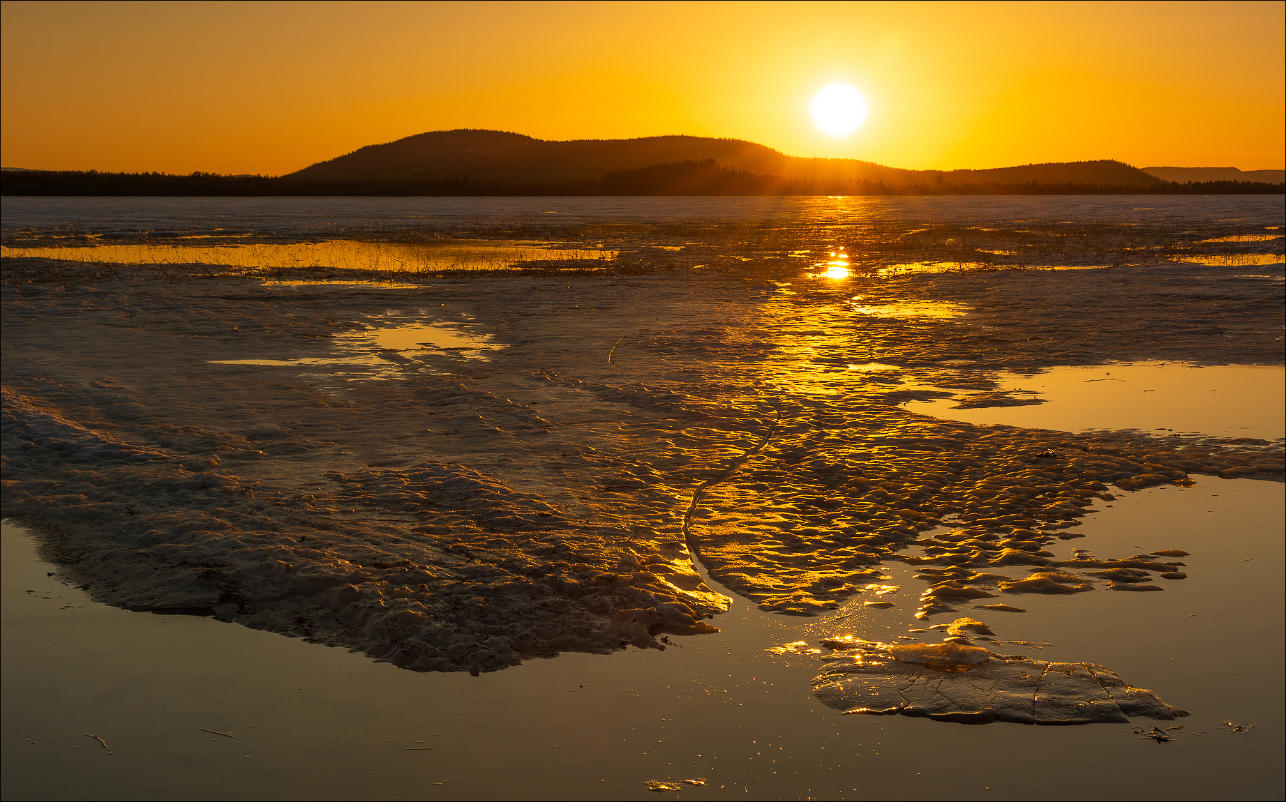 °°° golden sunset °°°