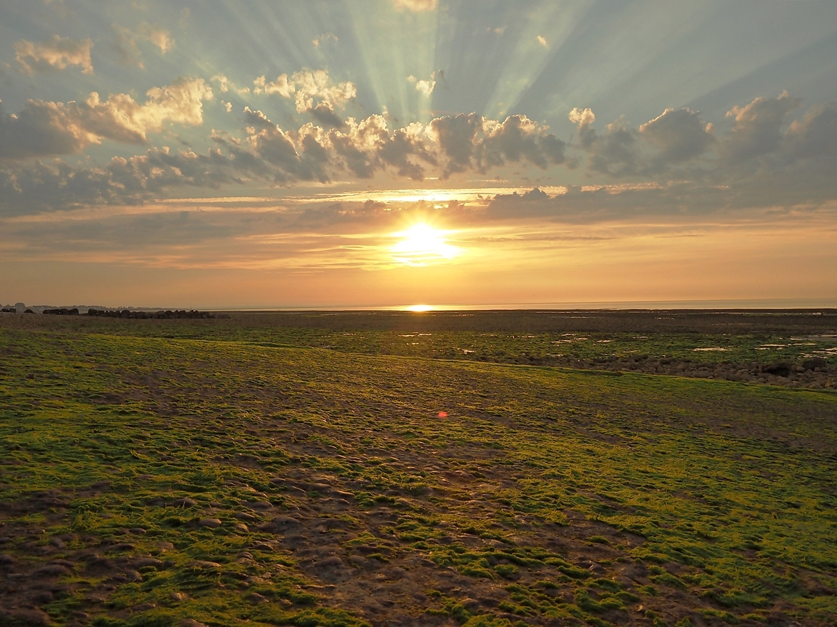 bei Ebbe, Cotentin