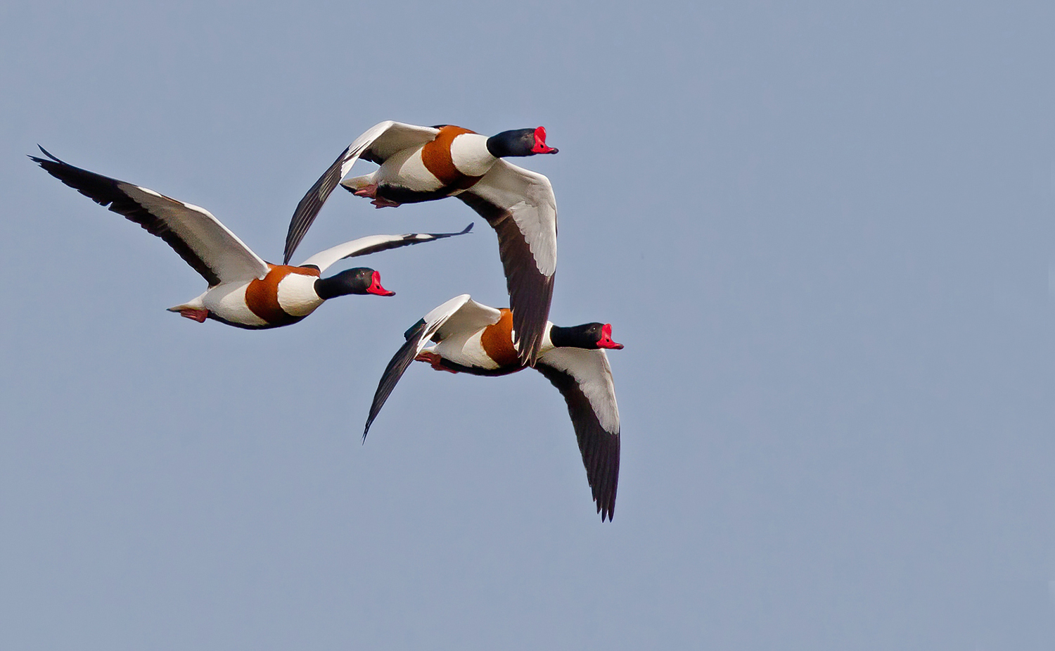 Fliegerstaffel