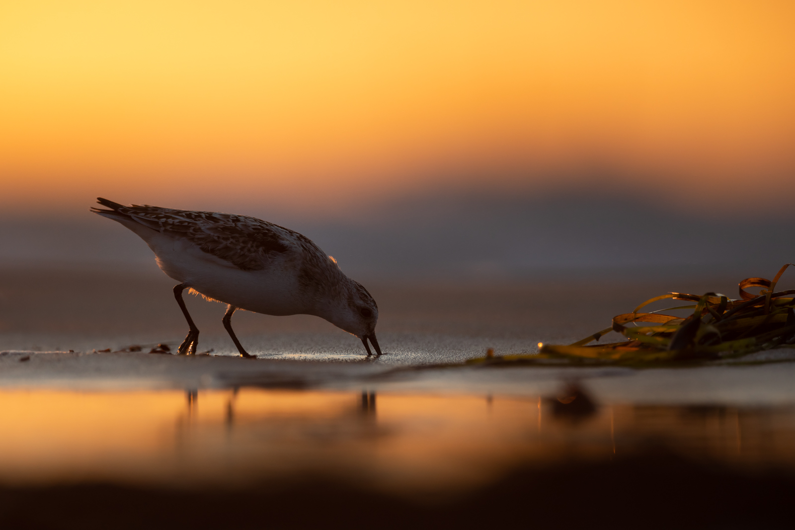 Abend am Strand