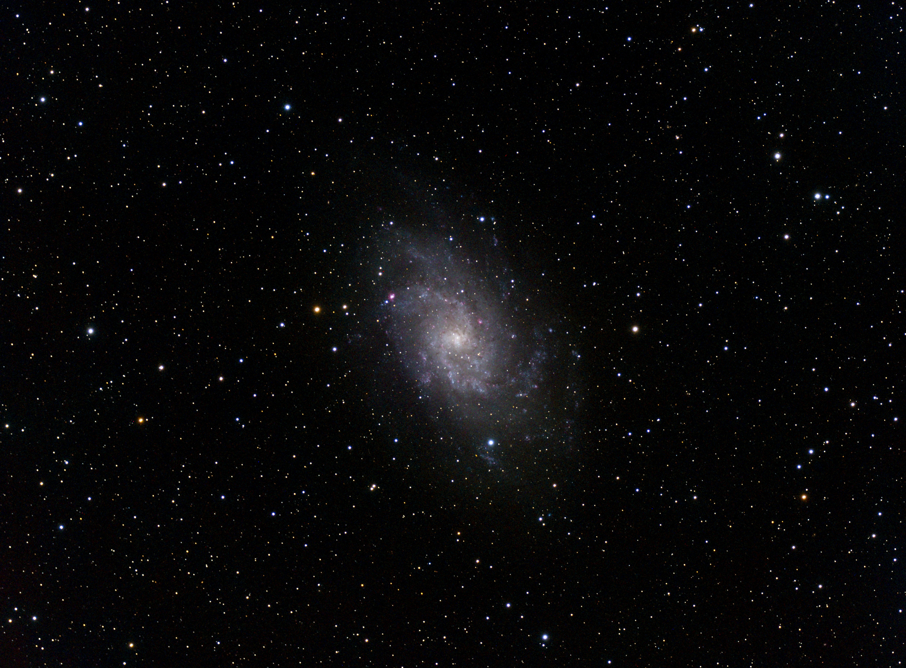 M33