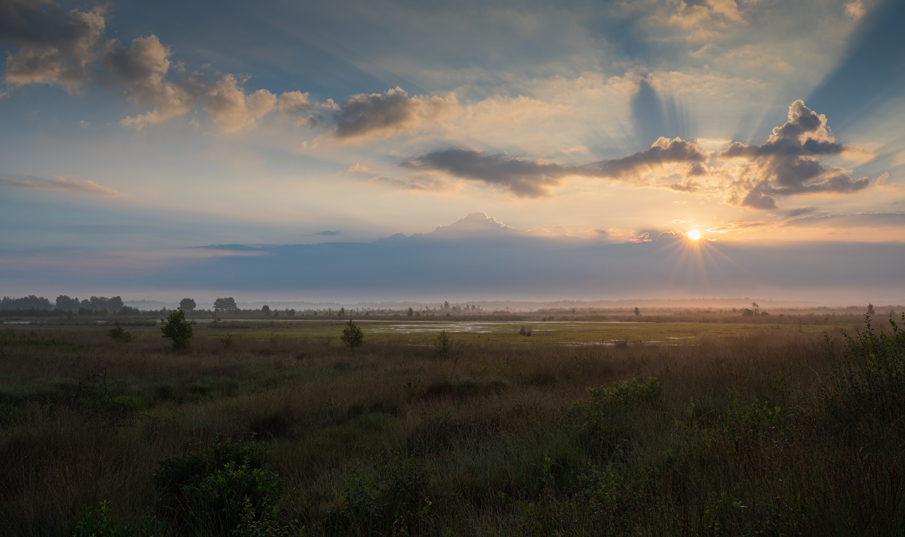 ______Sonnenaufgang im Moor______________________