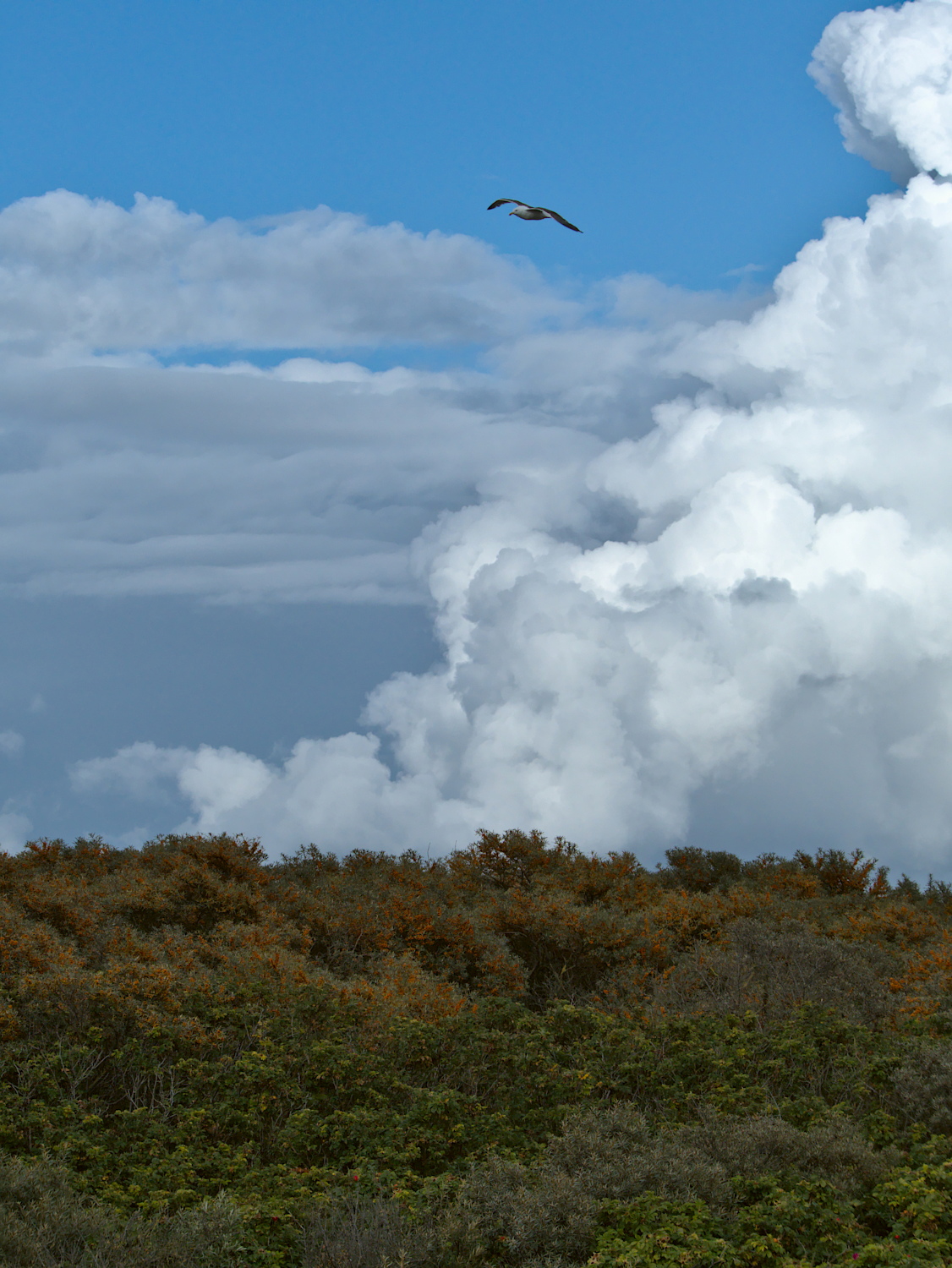 Wolken über der Düne