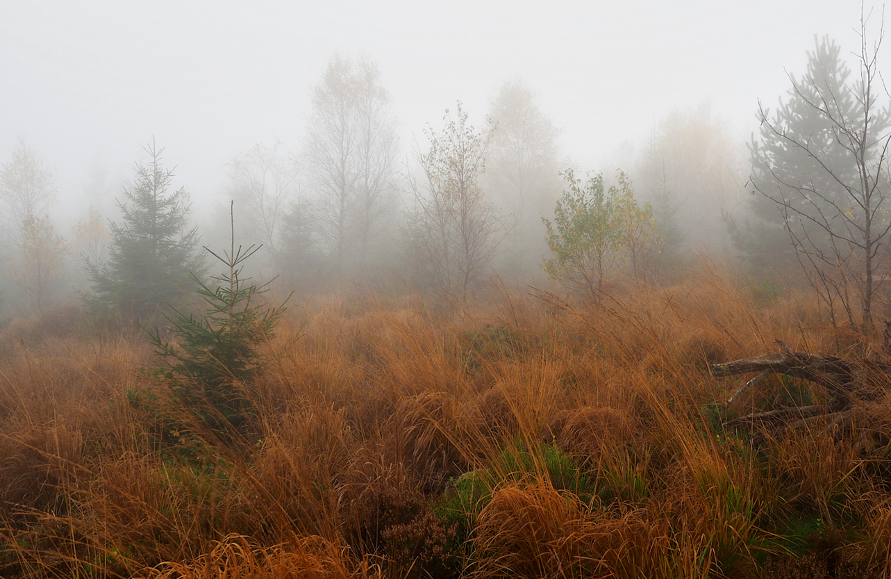 Herbstlich