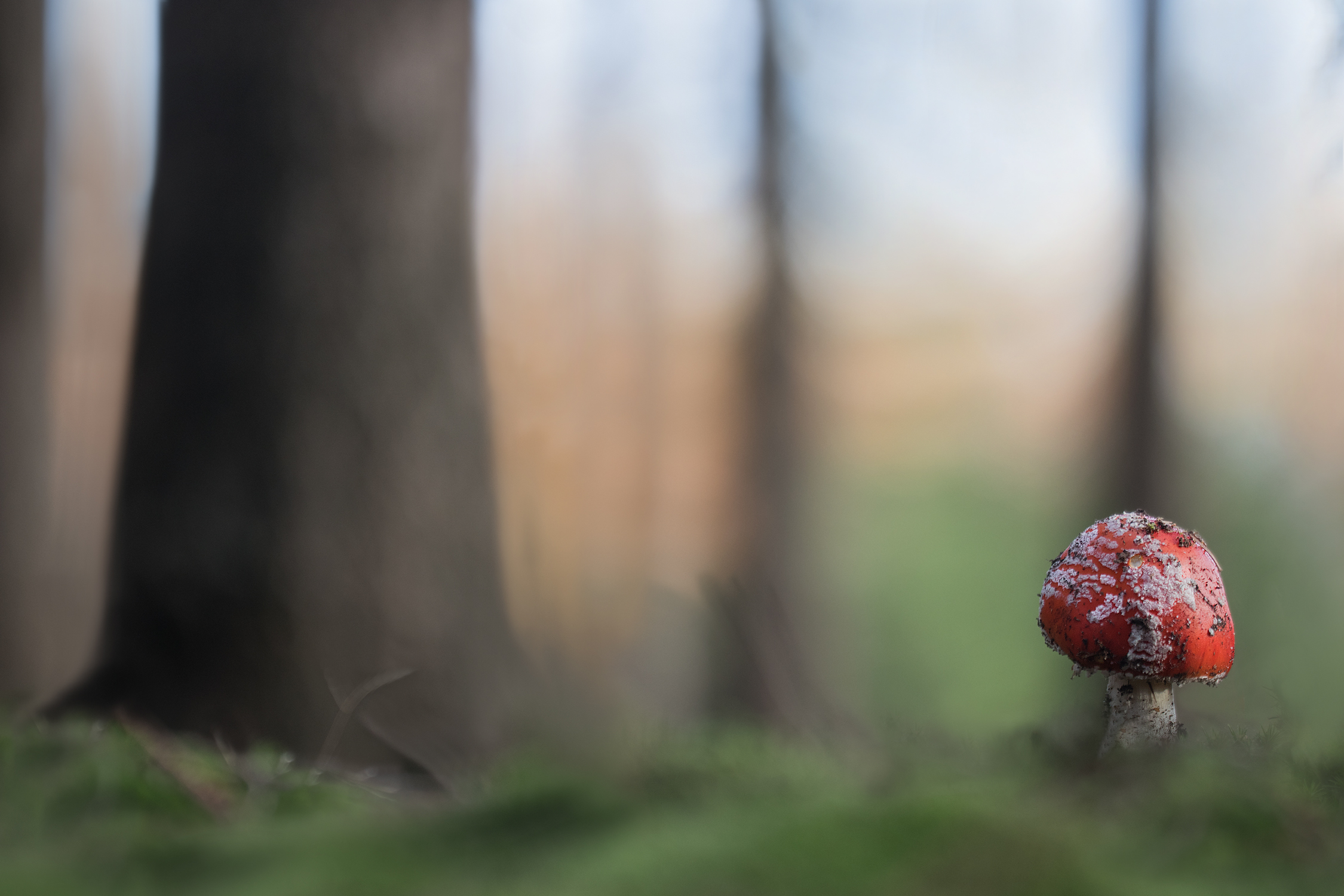 Willkommen lieber Herbst