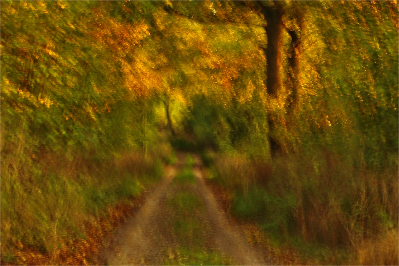 Am Abend fangen die Wege an zu träumen