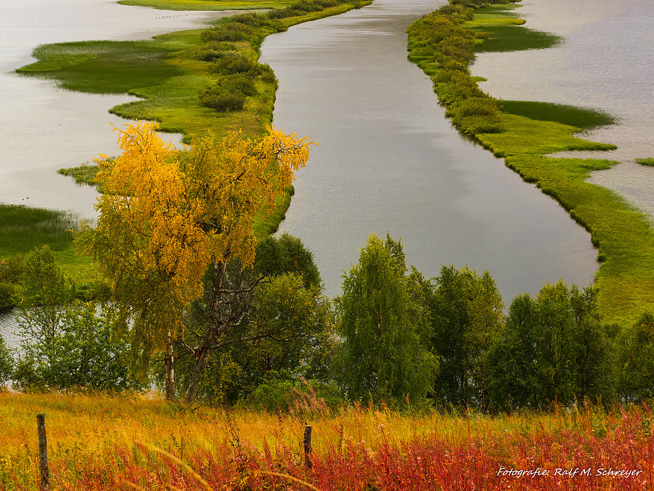 Herbst in Nordschweden