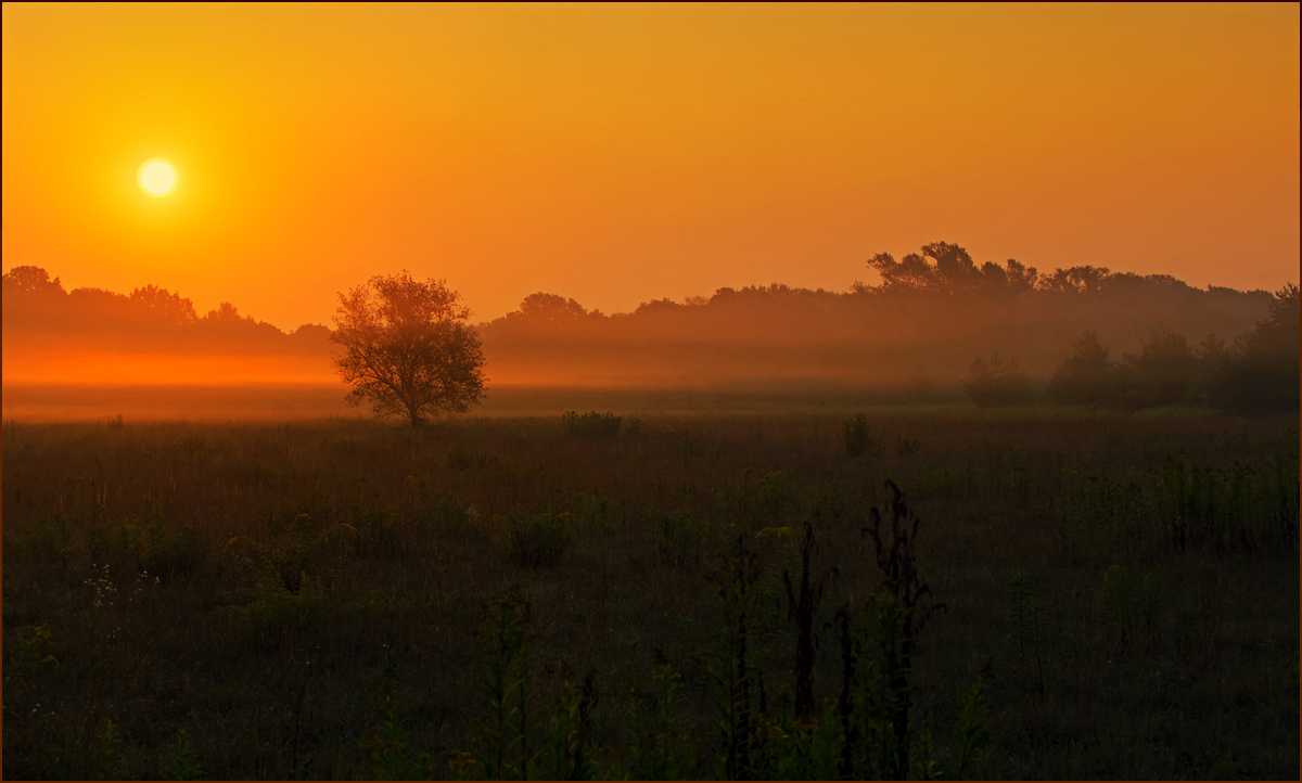 *Sonnenaufgang im Makrorevier*