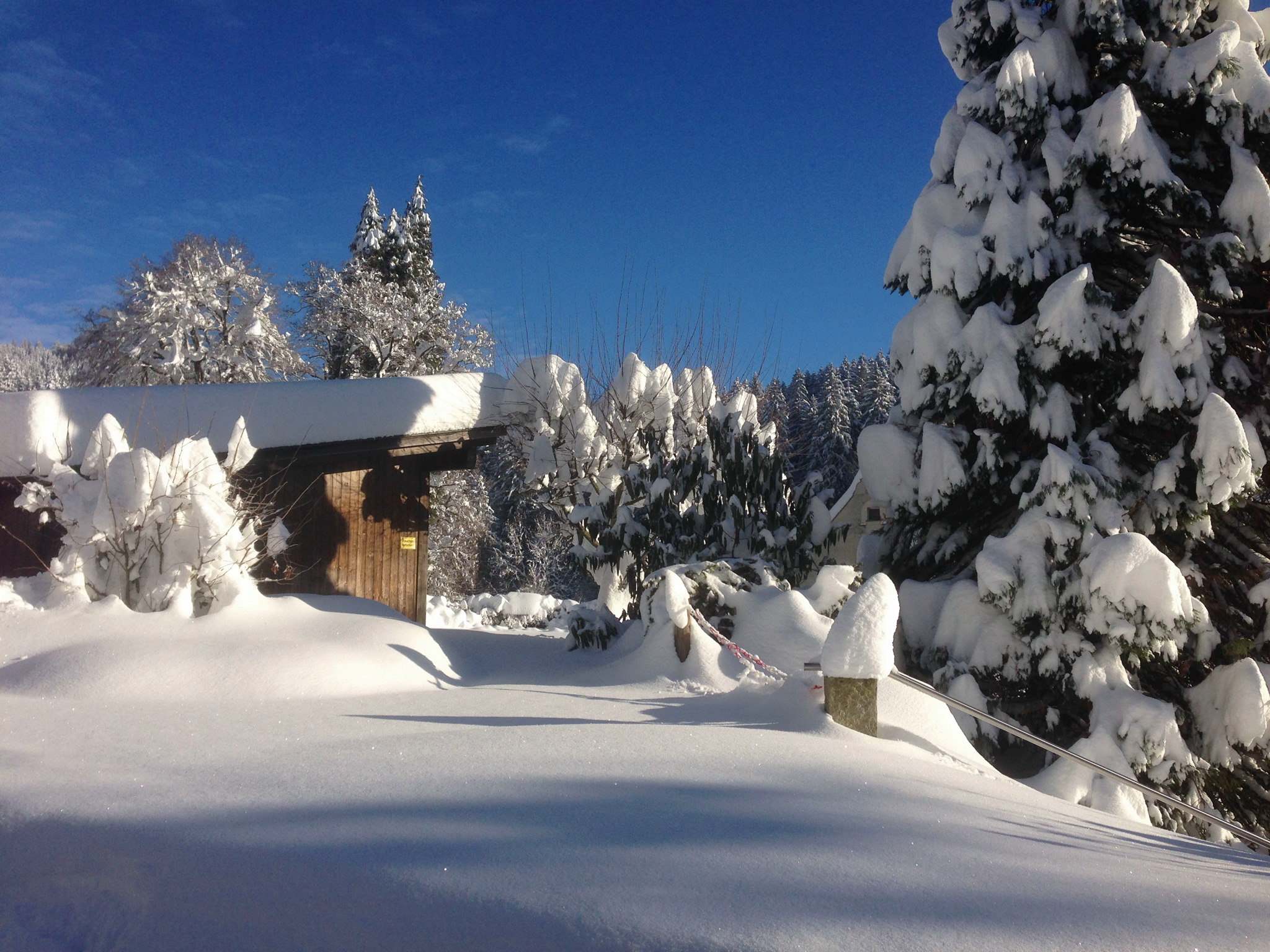 Ausblick auf den Winter?