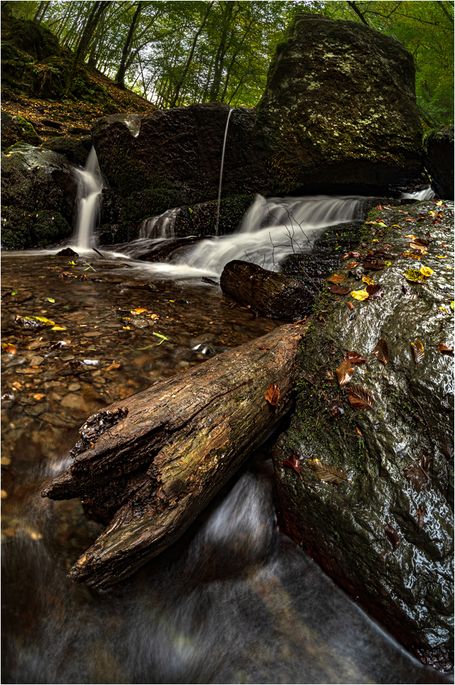 In der Ehrbachklamm