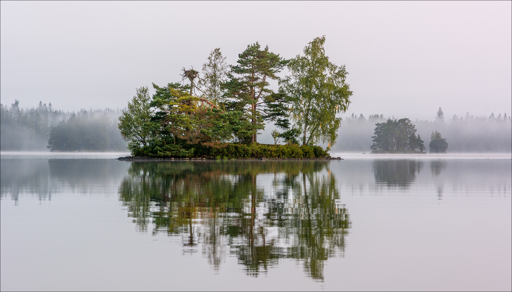 Eiland im Nebel