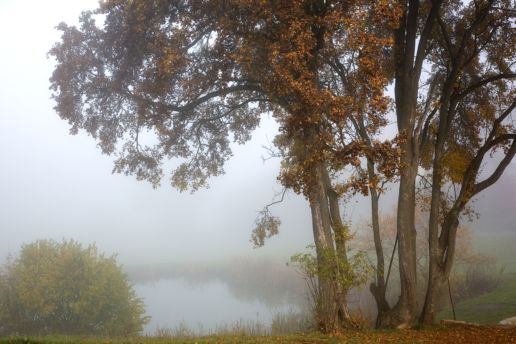 Herbststimmung