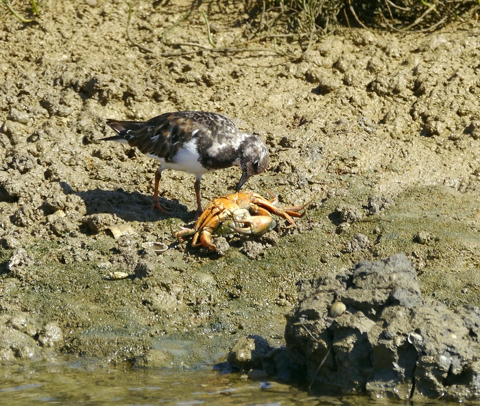 Mahlzeit