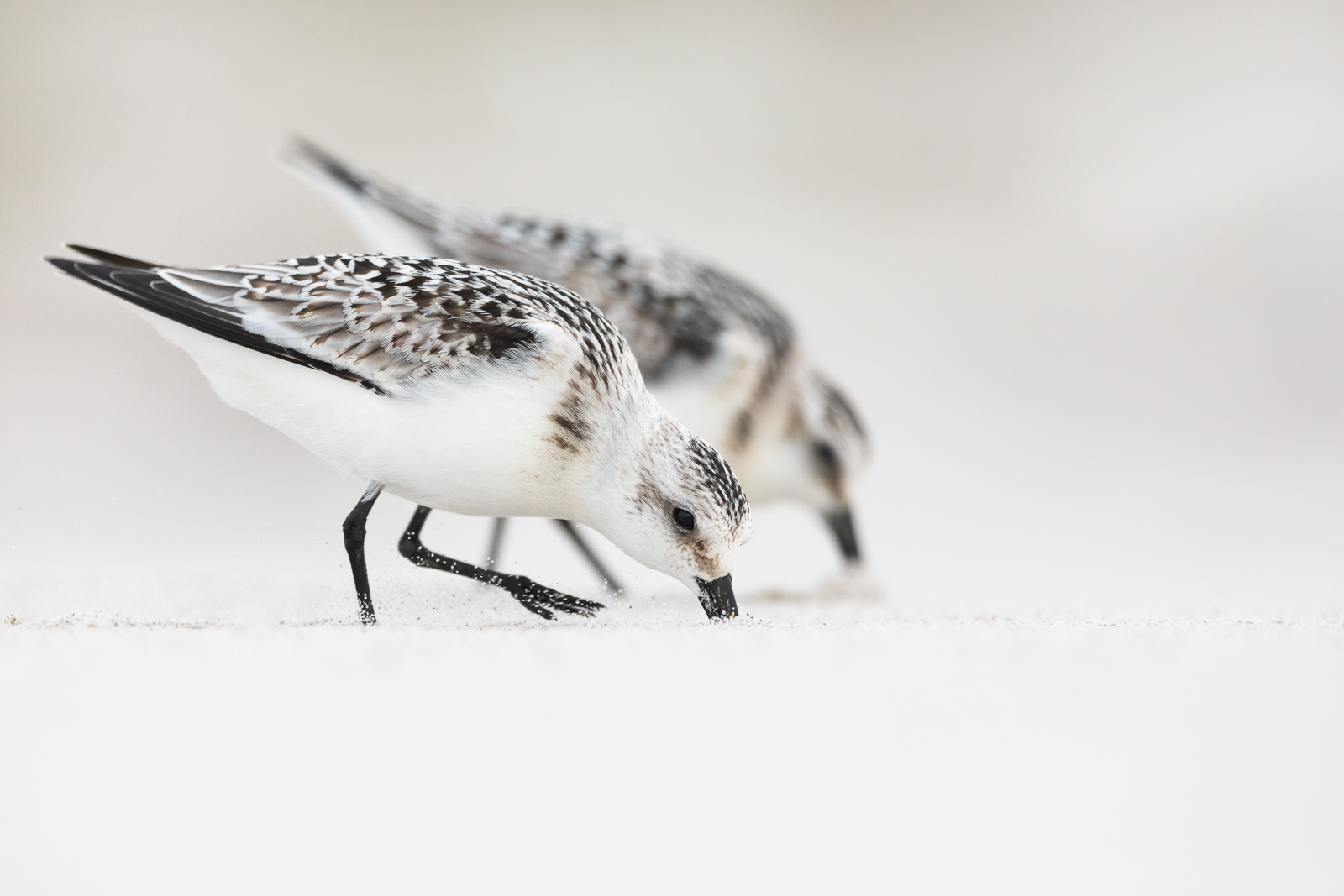 Strandpatrouille