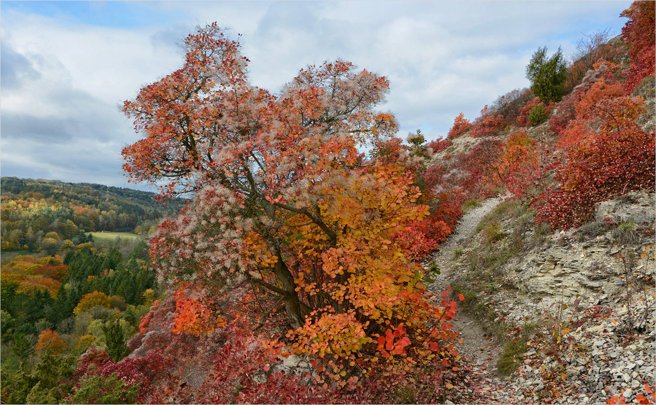 Alles im roten Bereich