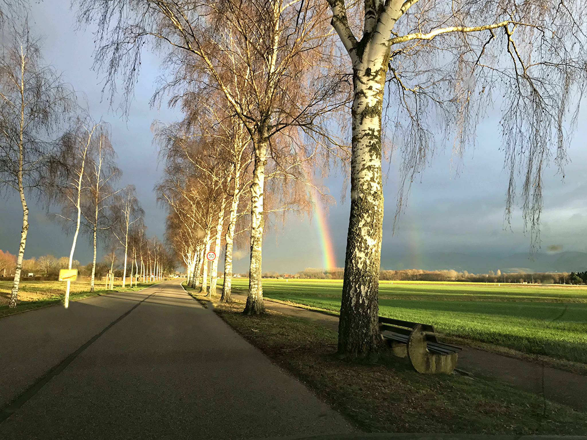 Regenbogen in Birken Allee