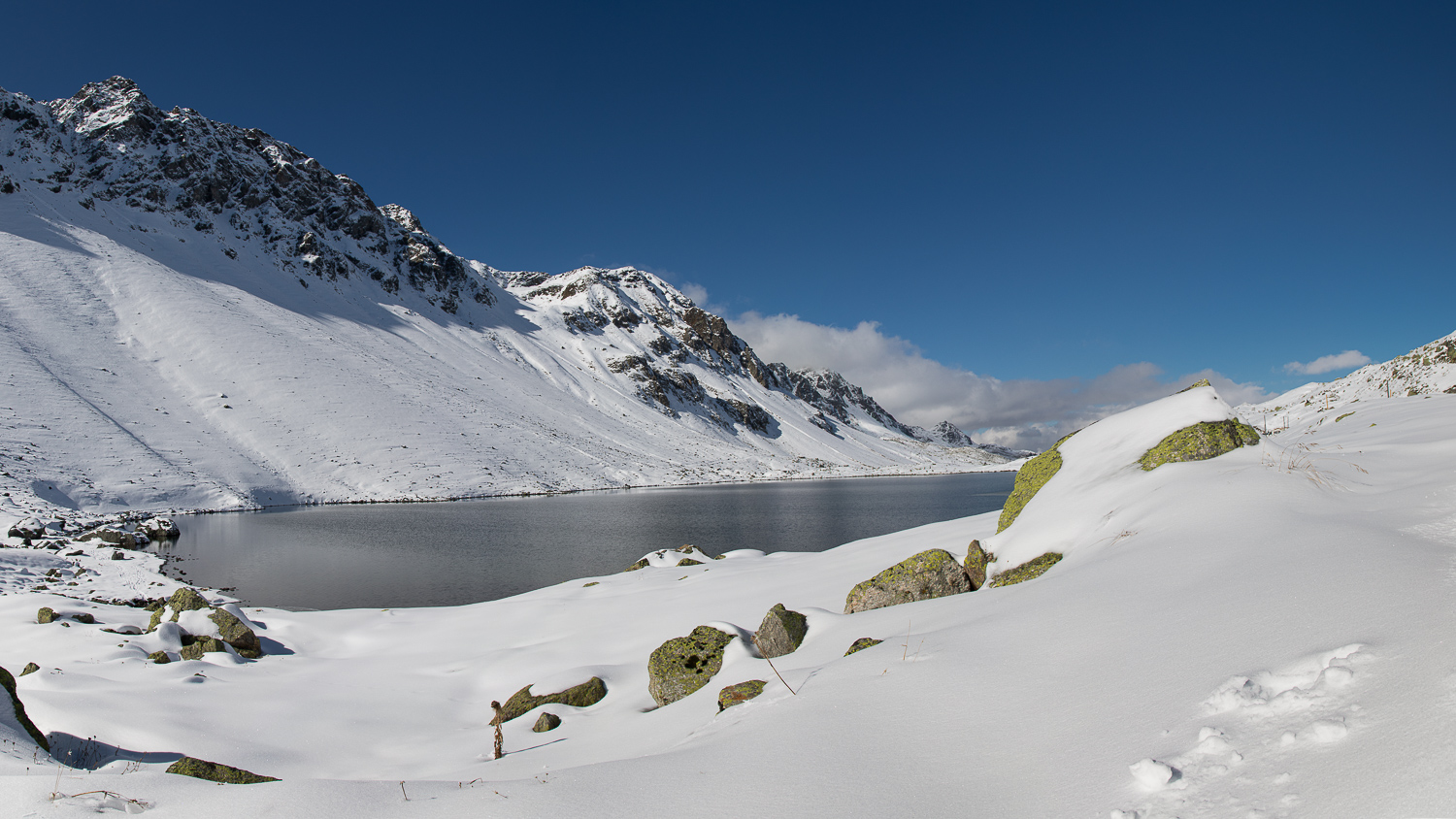 Vor der Winterruhe