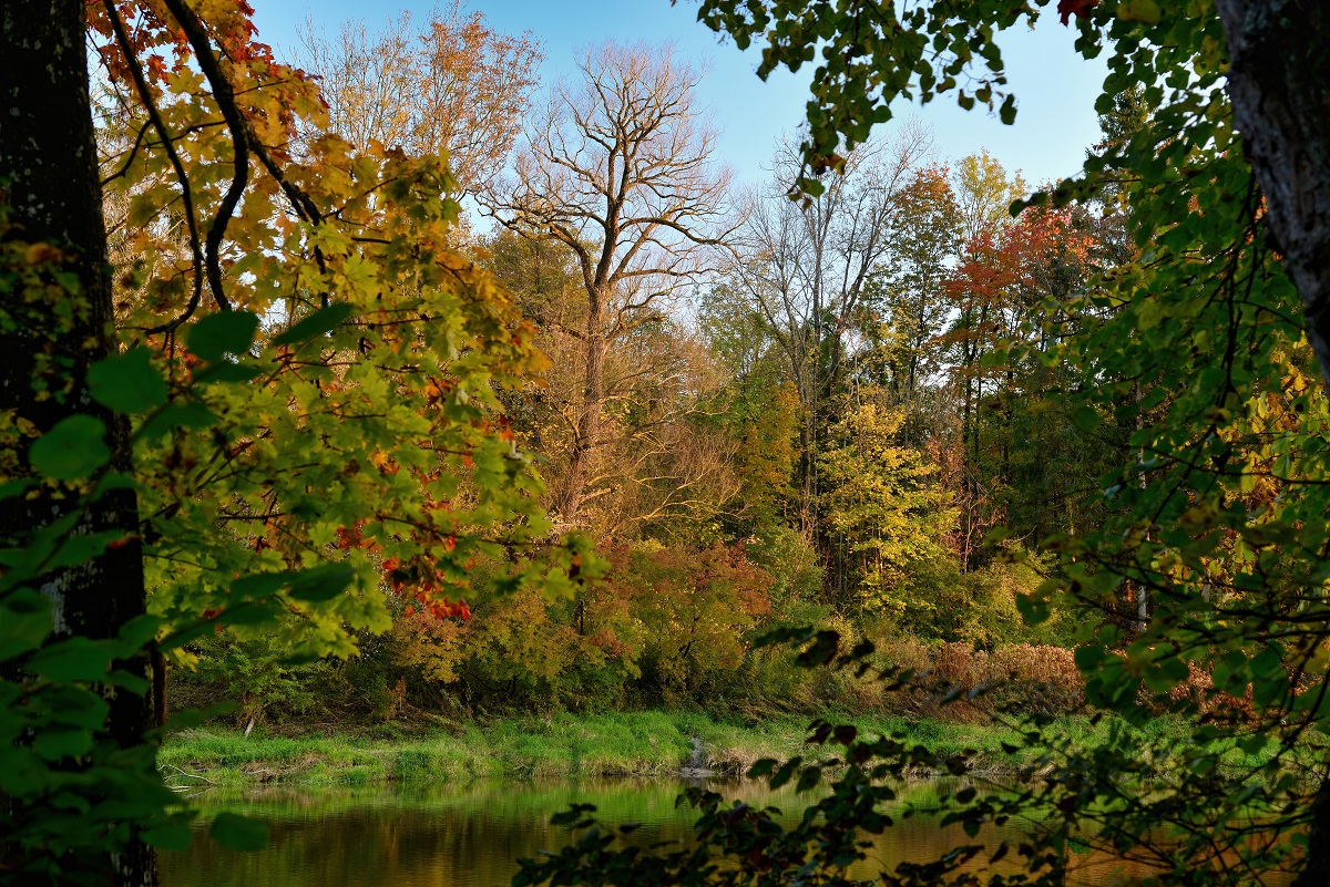 Herbst an der Isar