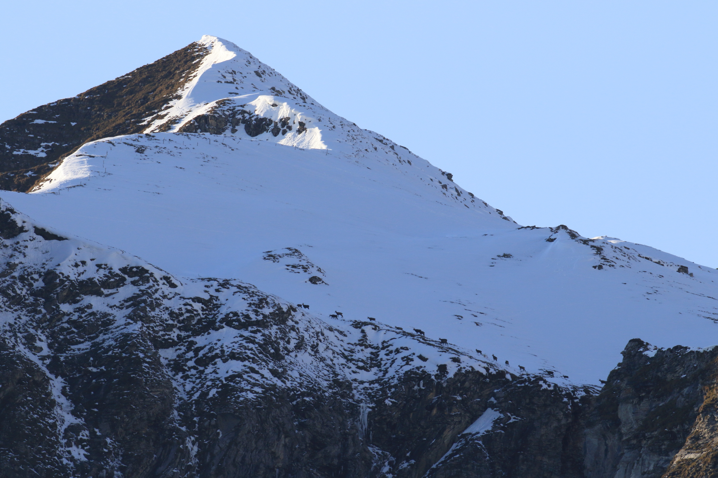 Karawane im Schnee